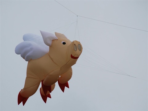 MainImage.jpg