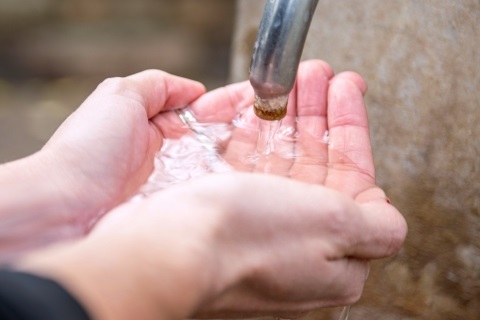 VHS 173052-56 small.jpg